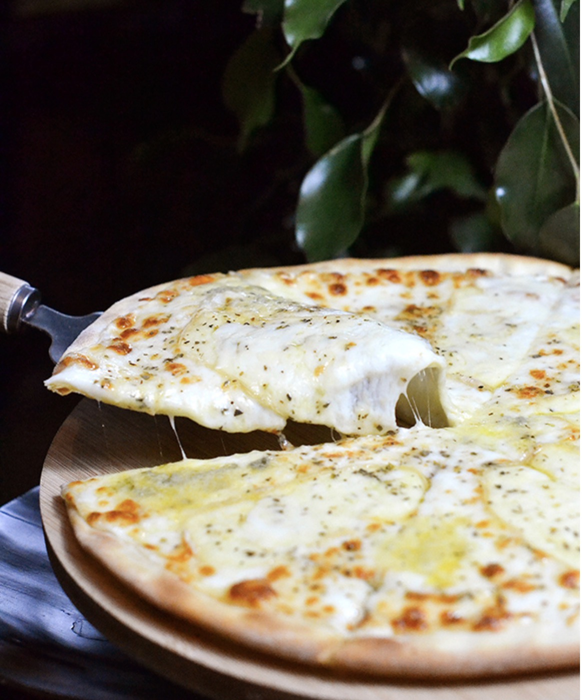 პიცა ოთხი ყველით