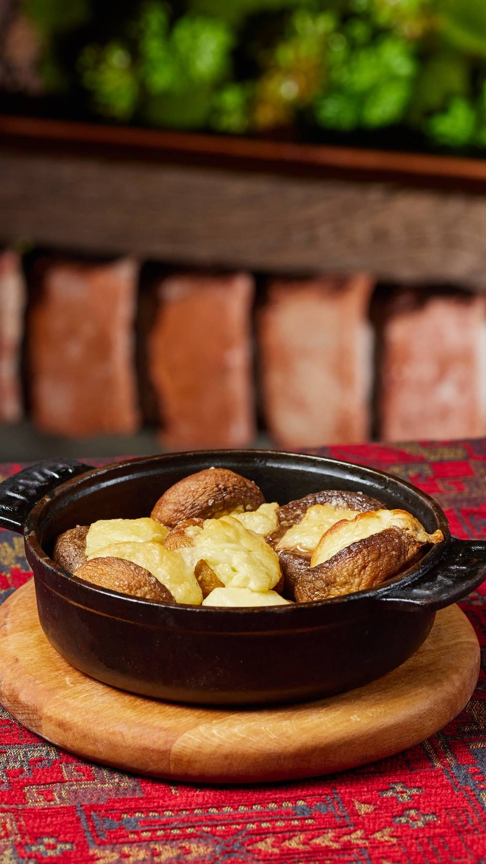 სოკო კეცზე სულგუნით