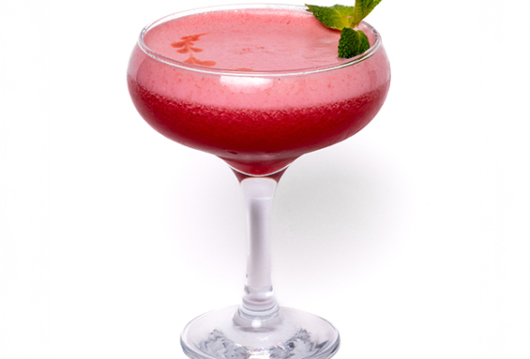 CLOVER CLUB
