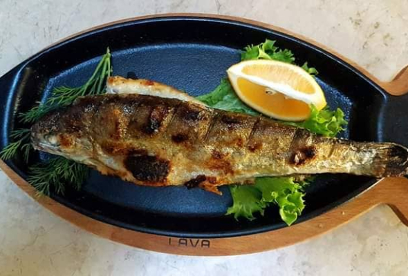 კალმახი მაყალზე